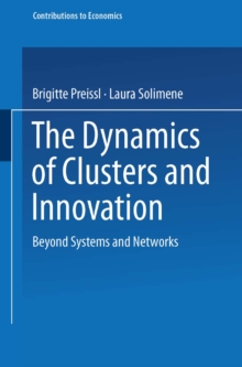 The Dynamics of Clusters and Innovation : Beyond Systems and Networks