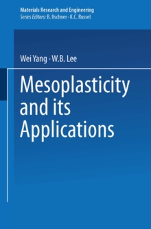 Mesoplasticity and its Applications