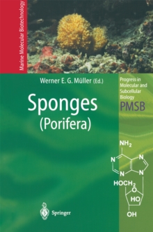 Sponges (Porifera)