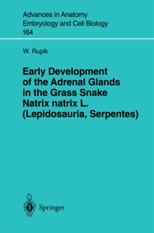 Early Development of the Adrenal Glands in the Grass Snake Natrix natrix L. (Lepidosauria, Serpentes)