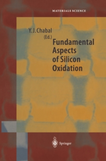 Fundamental Aspects of Silicon Oxidation