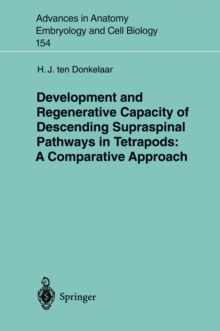 Development and Regenerative Capacity of Descending Supraspinal Pathways in Tetrapods : A Comparative Approach