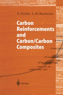 Carbon Reinforcements and Carbon/Carbon Composites