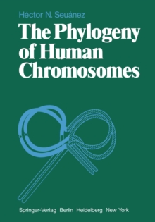 The Phylogeny of Human Chromosomes