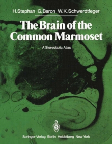 The Brain of the Common Marmoset (Callithrix jacchus) : A Stereotaxic Atlas