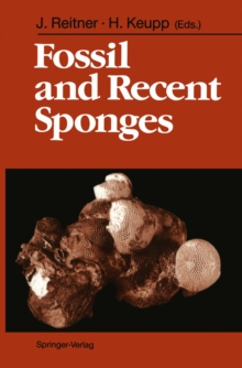 Fossil and Recent Sponges