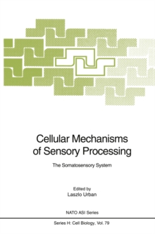 Cellular Mechanisms of Sensory Processing : The Somatosensory System