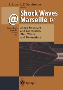 Shock Waves @ Marseille IV : Shock Structure and Kinematics, Blast Waves and Detonations