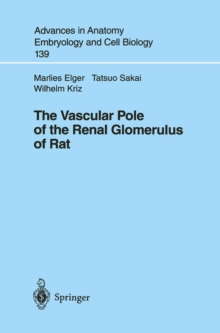 The Vascular Pole of the Renal Glomerulus of Rat