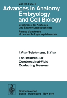 The Infundibular Cerebrospinal-Fluid Contacting Neurons