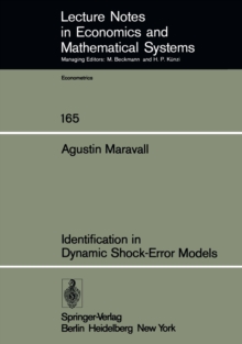 Identification in Dynamic Shock-Error Models