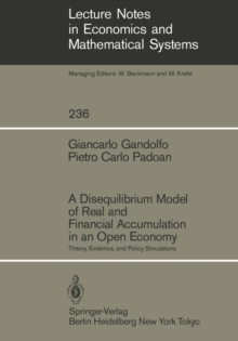 A Disequilibrium Model of Real and Financial Accumulation in an Open Economy : Theory, Evidence, and Policy Simulations