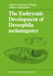 The Embryonic Development of Drosophila melanogaster