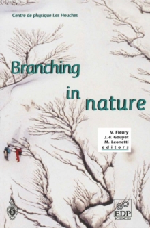 Branching in Nature : Dynamics and Morphogenesis of Branching Structures, from Cell to River Networks