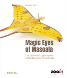 Magic Eyes of Masoala : The Colourful Lepidoptera of Madagascar Rainforests