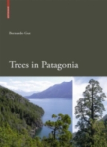 Trees in Patagonia