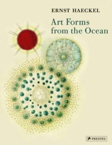 Art Forms from the Ocean : The Radiolarian Prints of Ernst Haeckel, Paperback Book Art Forms from the Ocean : The Radiolarian Prints of Ernst Haeckel, Paperback Book
