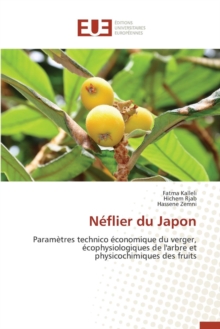 N flier Du Japon, Paperback / softback Book N flier Du Japon, Paperback / softback Book
