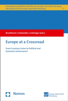 Europe at a Crossroad : From Currency Union to Political and Economic Governance?