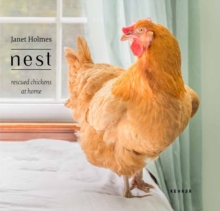 Nest : Rescued Chickens at Home