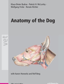 Anatomy of the Dog