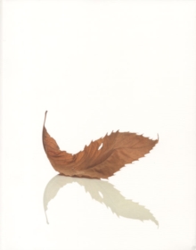 Peter Saville : Estate, Paperback Book Peter Saville : Estate, Paperback Book