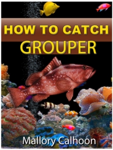 How To Catch Grouper