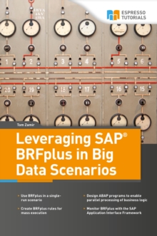 Leveraging SAP BRFplus in Big Data Scenarios