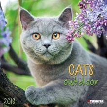 Cats Outdoors 2019, Calendar Book Cats Outdoors 2019, Calendar Book