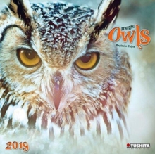 Magic Owls 2019, Calendar Book Magic Owls 2019, Calendar Book