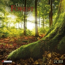 Deep Forest 2019, Calendar Book Deep Forest 2019, Calendar Book