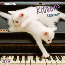 Kittens 2019, Calendar Book Kittens 2019, Calendar Book