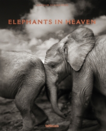 Elephants in Heaven