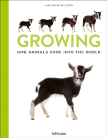 Growing : How animals come into our world