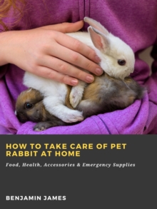 How to Take Care of Pet Rabbit at Home: Food, Health, Accessories & Emergency Supplies