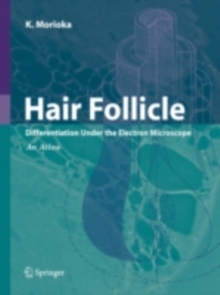 Hair Follicle : Differentiation under the Electron Microscope - An Atlas