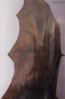 Shigekazu Onuma