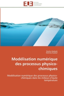 Mod lisation Num rique Des Processus Physico-Chimiques, Paperback / softback Book Mod lisation Num rique Des Processus Physico-Chimiques, Paperback / softback Book