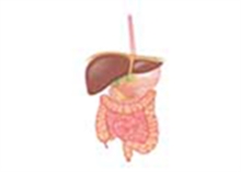 Glucose Tolerance Test