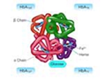 To Study about Glycated Haemoglobin and its Estimation