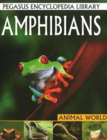 Amphibians, Paperback / softback Book Amphibians, Paperback / softback Book