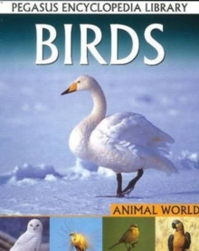 Birds : Pegasus Encyclopedia Library, Paperback Book Birds : Pegasus Encyclopedia Library, Paperback Book