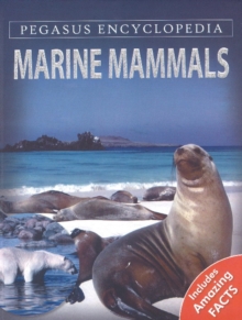 Marine Mammals, Hardback Book Marine Mammals, Hardback Book