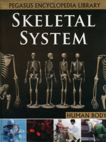 Skeletal System, Hardback Book Skeletal System, Hardback Book