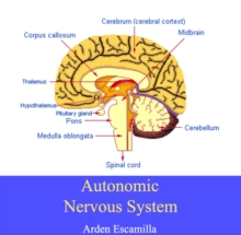 Autonomic Nervous System