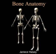 Bone Anatomy