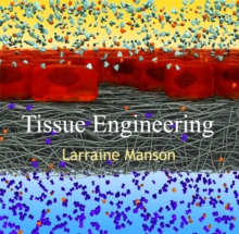 Tissue Engineering