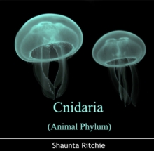 Cnidaria (Animal Phylum)