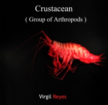 Crustacean (Group of Arthropods)