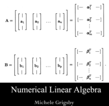 Numerical Linear Algebra